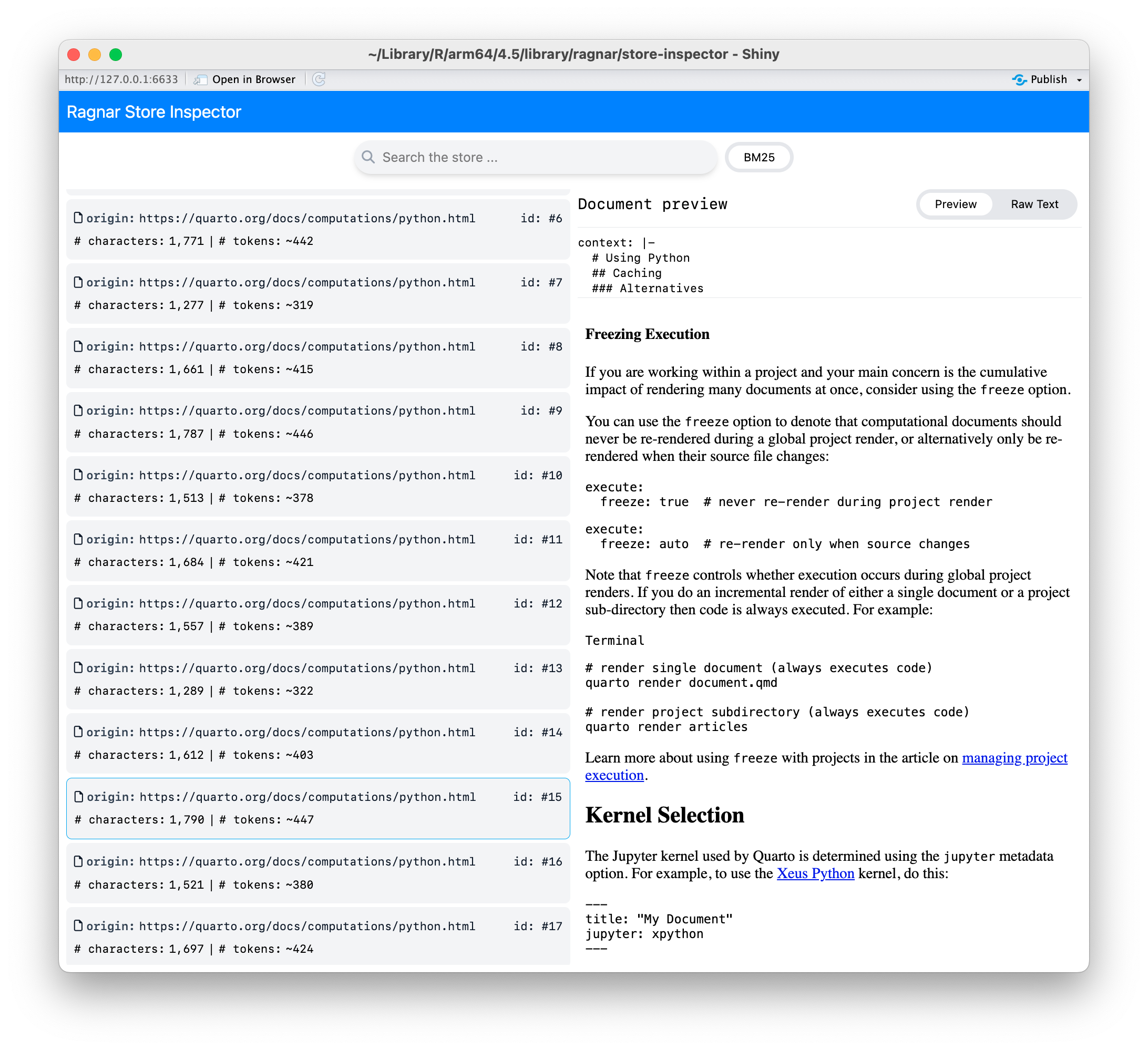 Store Inspector UI screenshot