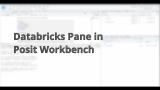 Databricks Pane in Posit Workbench
